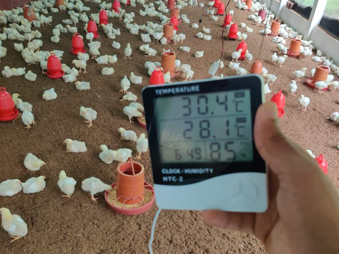 HTC-2 Digital Temperature & Humidity Meter: পোল্ট্রি খামারে কেন এটি গুরুত্বপূর্ণ? fb img 1658934096636