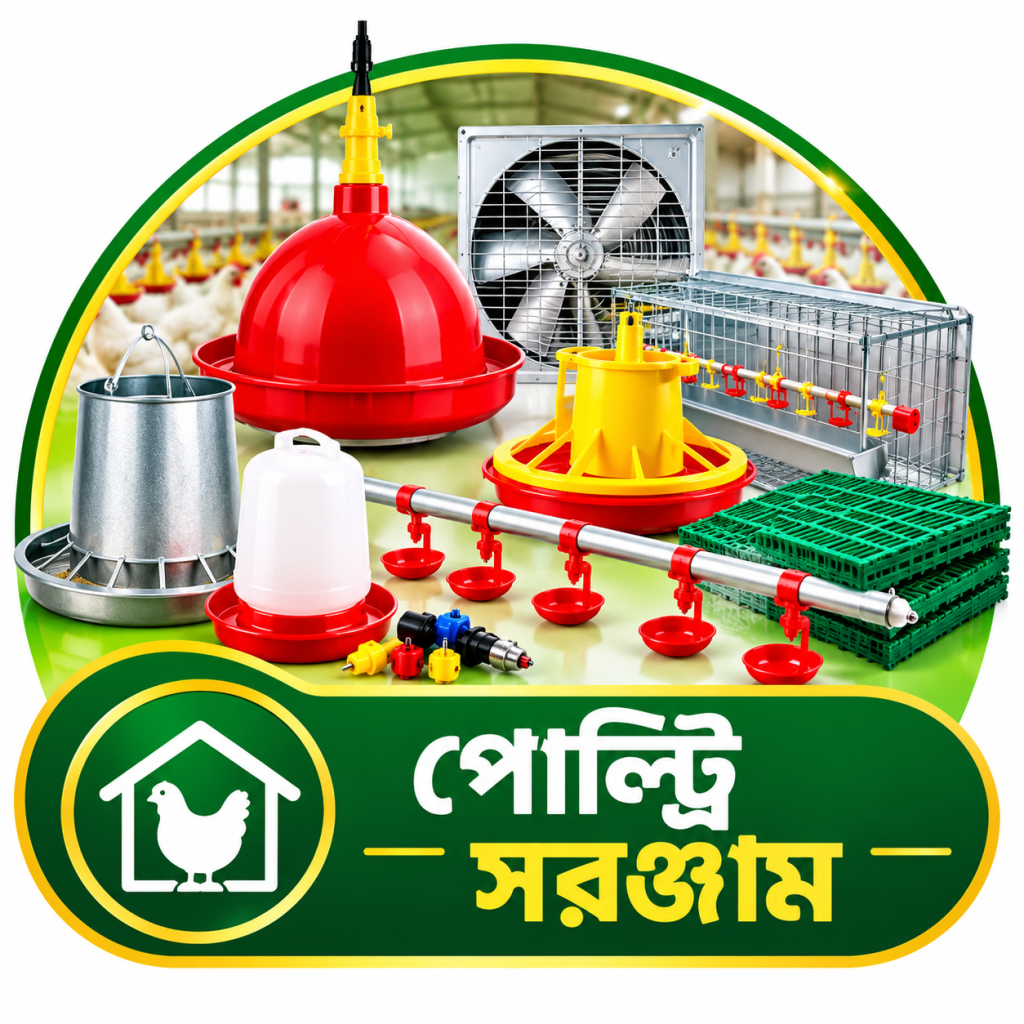 Poultry Equipment