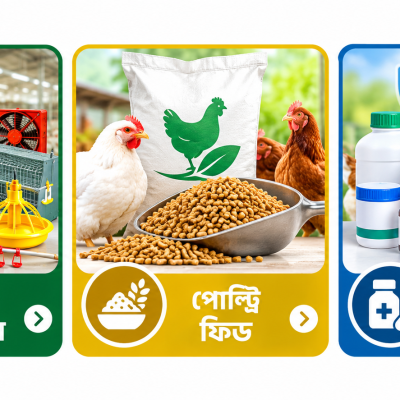 পোল্ট্রি সরঞ্জাম